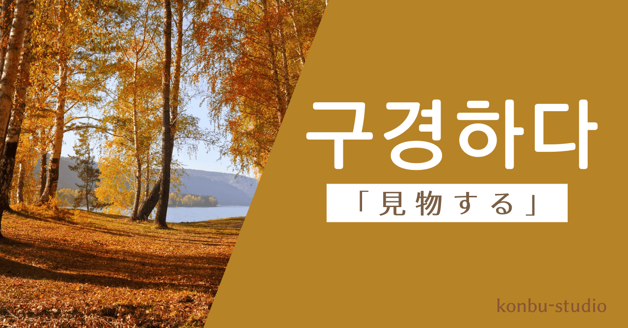 見物する｜구경하다｜韓国語
