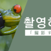 撮影する｜촬영하다｜韓国語