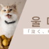 泣く｜울다｜韓国語