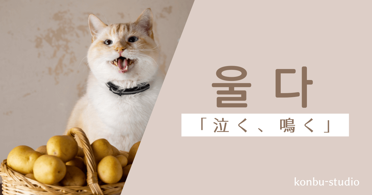 泣く｜울다｜韓国語
