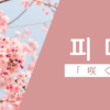咲く｜피다｜韓国語