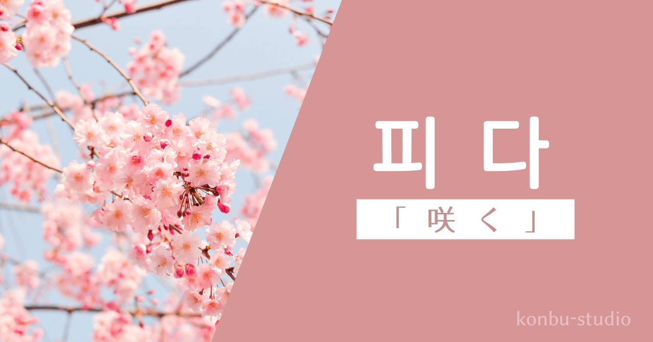 咲く｜피다｜韓国語