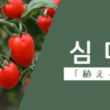 植える｜심다｜韓国語