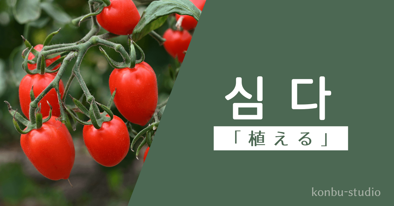 植える｜심다｜韓国語