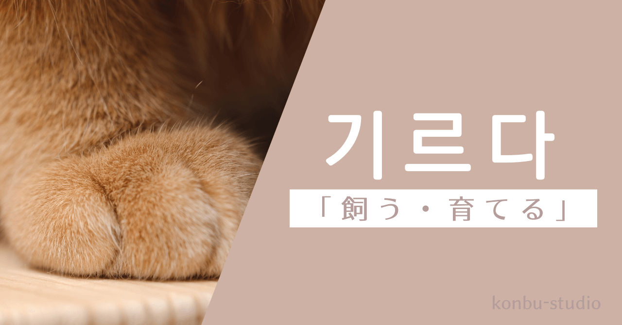飼う｜기르다｜韓国語